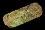 Yellow-Green Fluorapatite Crystal - Ontario, Canada #137118-2